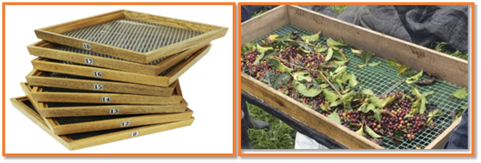 Un jardín con comida

Descripción generada automáticamente con confianza media